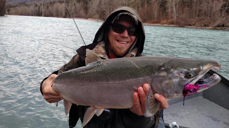 silversalmon